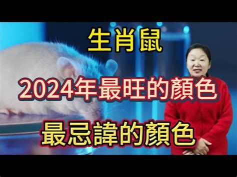 2024皮夾顏色生肖|2024龍年十二生肖的「財庫色」解析，用年終獎金投。